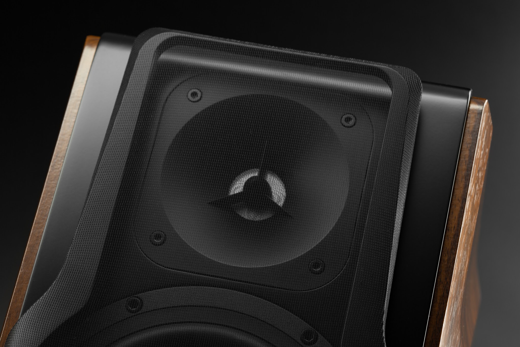 Close-up detail of a speaker cabinet